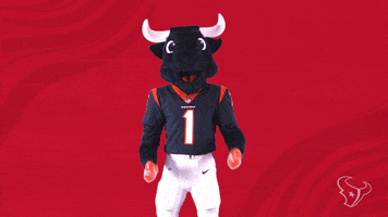 Great Job Yes GIF by Houston Texans