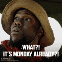Monday-vibes GIFs - Get the best GIF on GIPHY