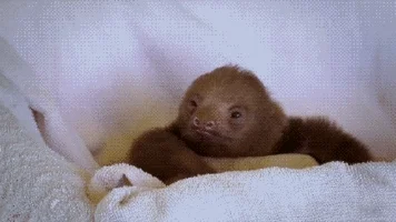 but who cares deep thoughts GIF
