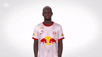Lets Go What GIF by FC Red Bull Salzburg