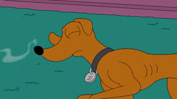 Smells Good The Simpsons GIF by AniDom