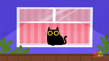 Black Cat Love GIF by Super Simple