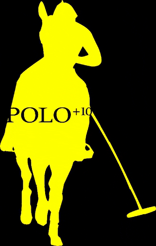 POLOPLUS10 polo poloplus10 GIF