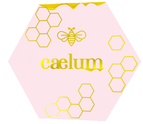 Caelum GIFs on GIPHY - Be Animated