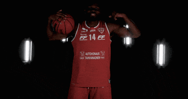 Vilpas Vikings GIF