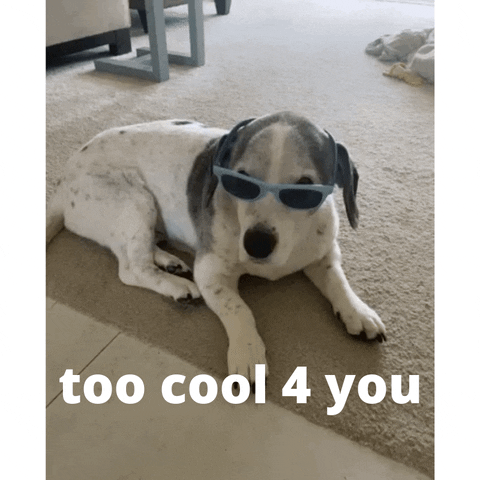 YourHappyWorkplace sunglasses so cool too cool super cool GIF