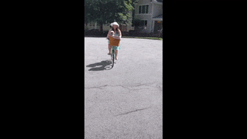 Dog Bike GIF