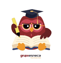 grupoesnecaformacion-estudiar-apuntes-neca-Lm4Gnp2if62ANjJabP