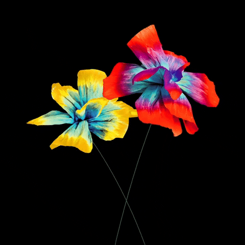 Flower GIF by Carosello Records