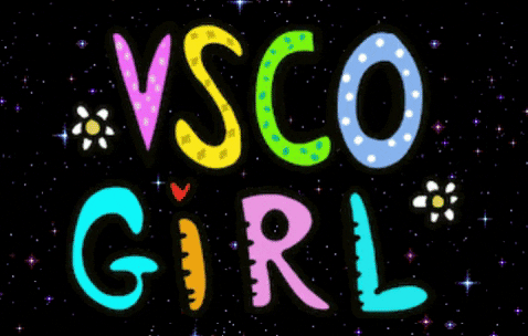Vsco Girl Gifs Get The Best Gif On Giphy