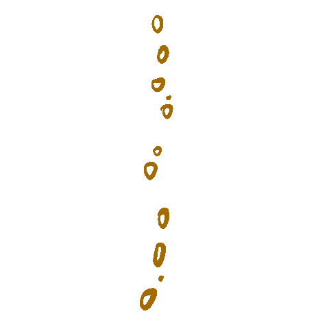 Champagne Sticker