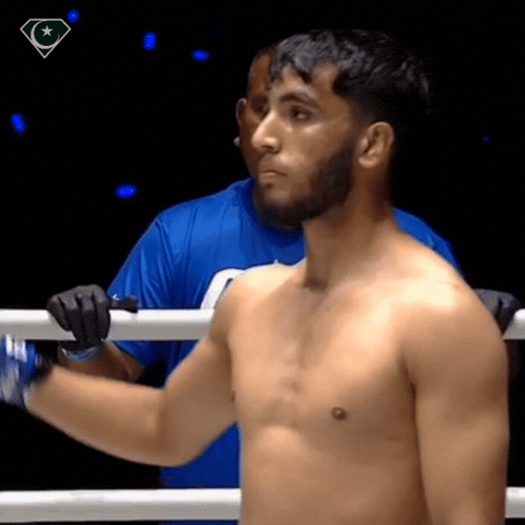 Muay Thai Pakistan GIF