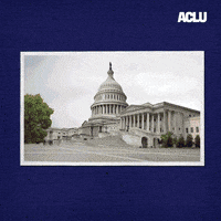 Election Voting GIF by ACLU