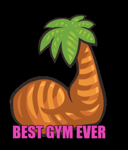 Miami Strong GIF
