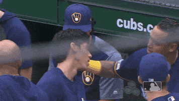 Major League Baseball Hug GIF by MLB