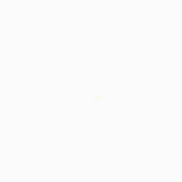 200.gif?cid=fc005b0804c50facd668eb16afc6a0eb66dbcd55e721717d&rid=200.gif&ct=g
