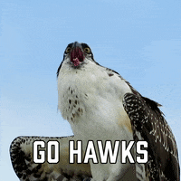 Seattle Seahawks Sport GIF by Sealed With A GIF