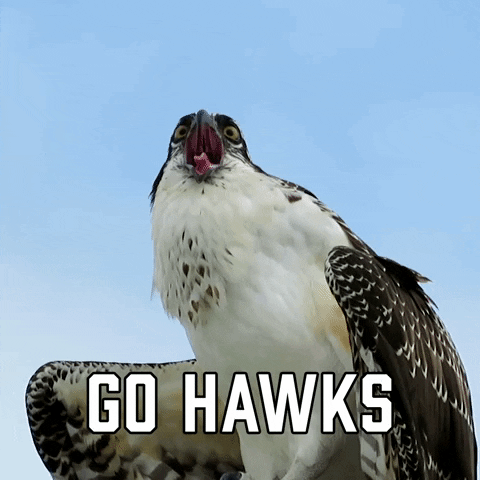 Hawks meme gif