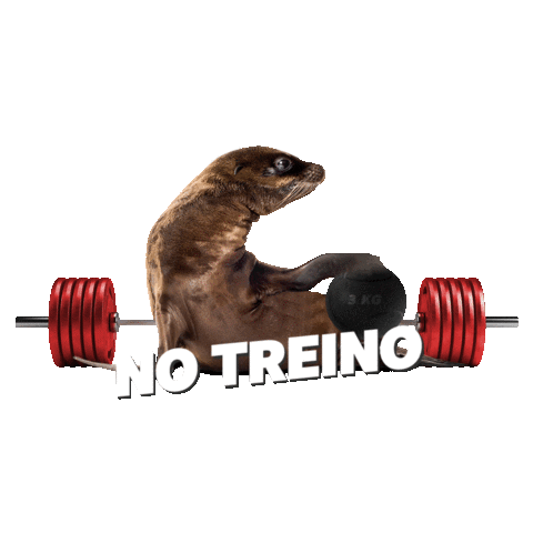 Sticker by Engenharia do Corpo