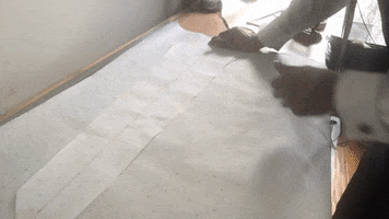 Shaun Gordon GIF