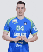 Handball Euro GIF by Rokometna zveza