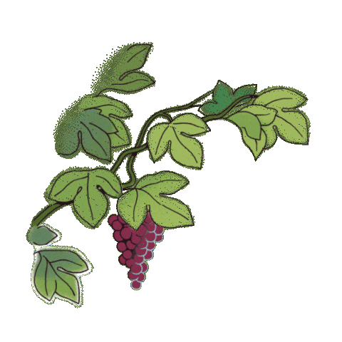 Fresh Sticker by Mouton Cadet