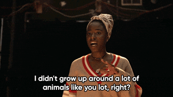 Kirby Howell-Baptiste Barry GIF by HBO
