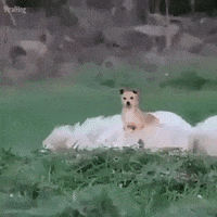 Free-funny-animations GIFs - Get the best GIF on GIPHY Free-funny-animations GIFs - Get the best GIF on GIPHY