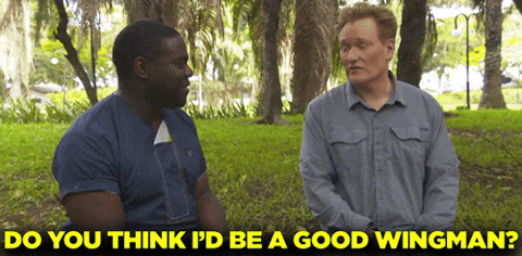 Wingman Gifs Get The Best Gif On Giphy