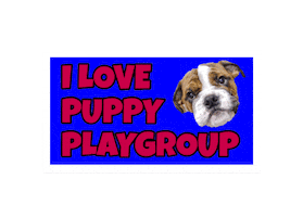 Puppy Bulldog Sticker