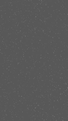 Daisy Business Solutions GIF