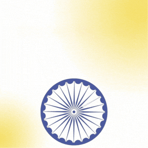 Independence Day Gif GIF by FirstCry Parenting