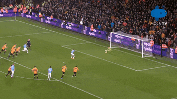 Wolves Penalty GIF by MolaTV