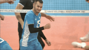 Happy Joy GIF by Volleyball World