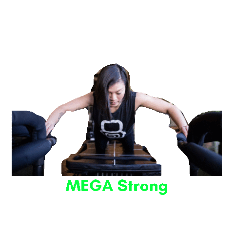 Workout Lagree Sticker by 8springsstudio