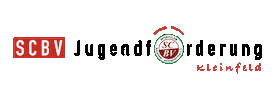SCBV Sticker