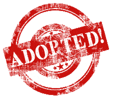 Dog Adopt Sticker by lovesecondchances