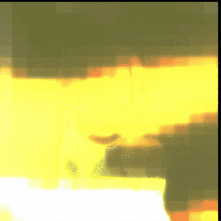 Hojunicore GIF