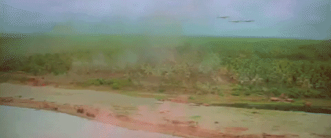 Vietnam GIF