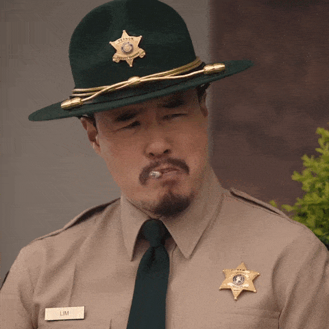 Sheriff meme gif