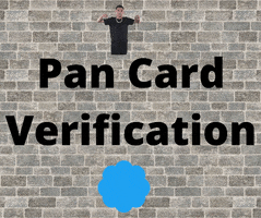 Pan Card Verify GIF