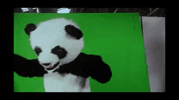 atomicpanda panda costume greenscreen atomicpanda GIF