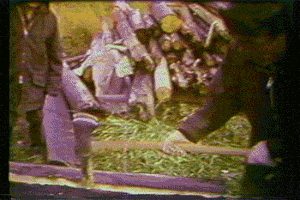 cmhgif traditionalknowledge GIF by Canadian Museum of History