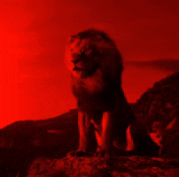 Mahesh Babu GIF