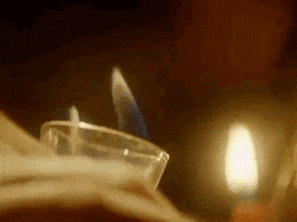 Pelisky GIF