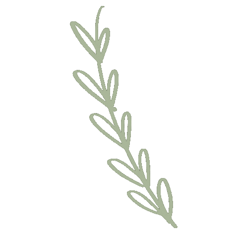 Plant Sticker