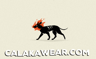 CalakaWear GIF