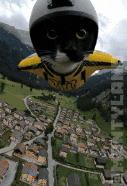 Wingsuit GIF