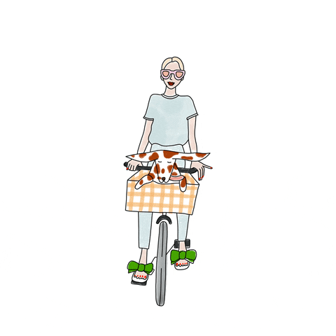 axellerose dog illustration bike amsterdam GIF