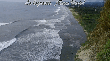 Playa GIF